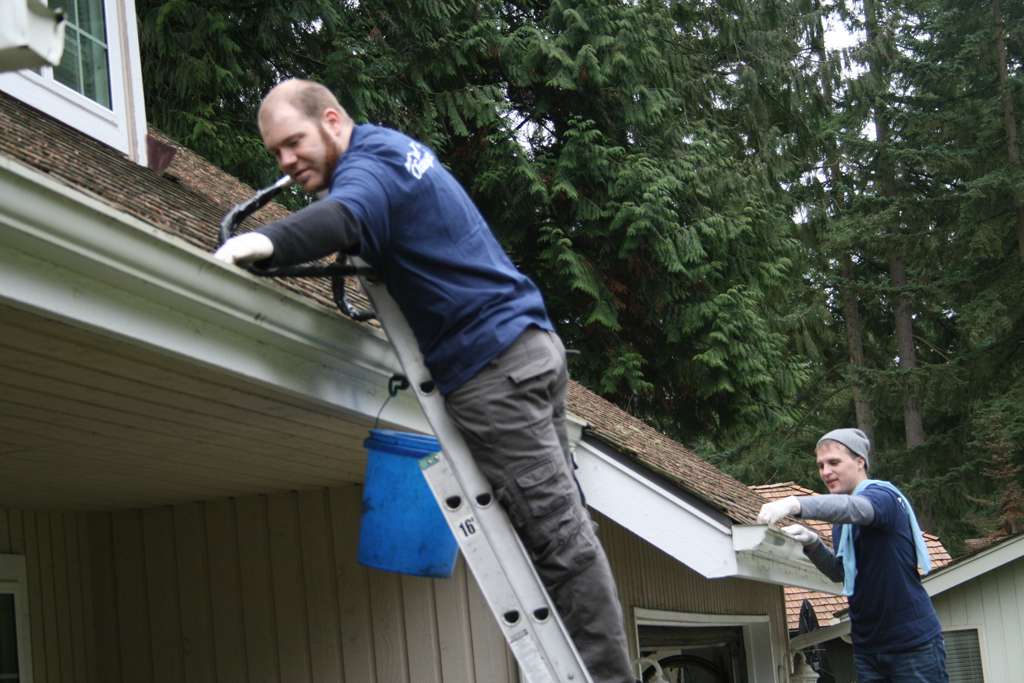 gutter cleaning