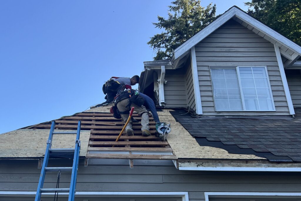 Roof Replacement Lynnwood WA – Does it Really Matter?